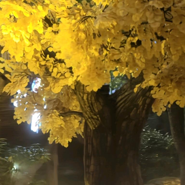 绝地@蔷薇&