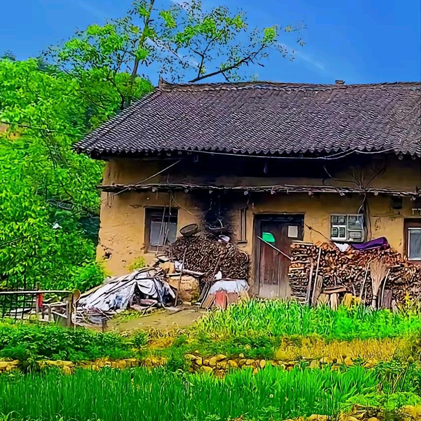 确山黑脸