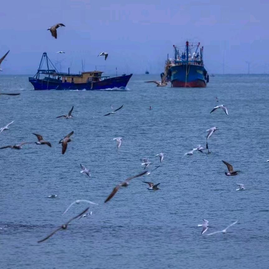 代购初级农产品