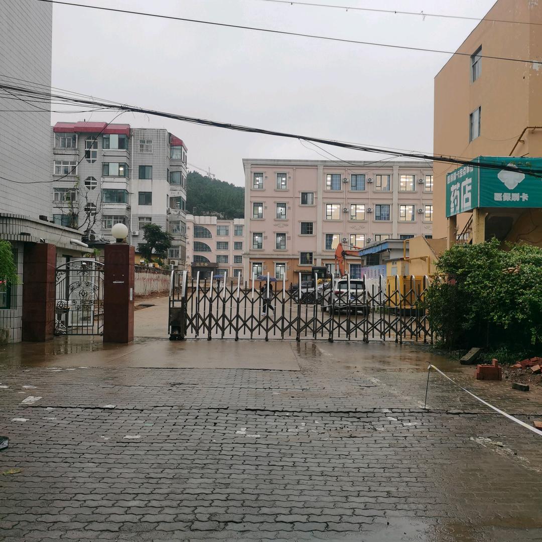 小猫很白