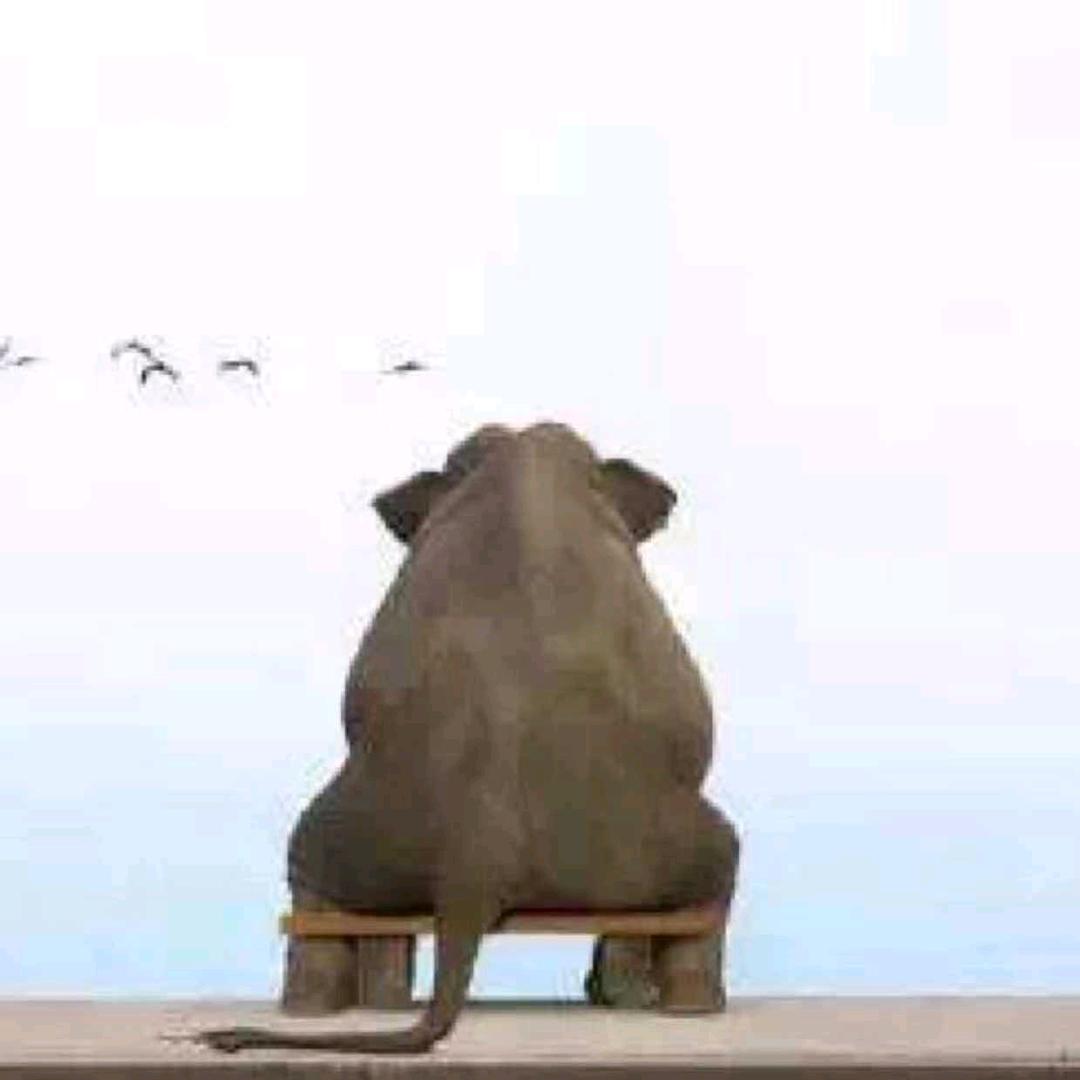 🌈封刀～看海