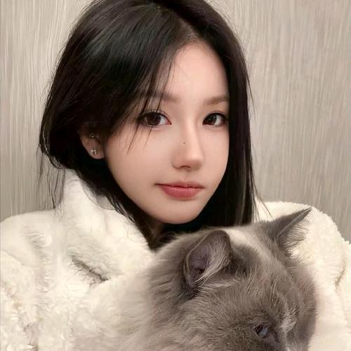 莉莉百货