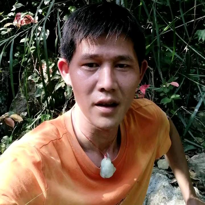 山里的梦