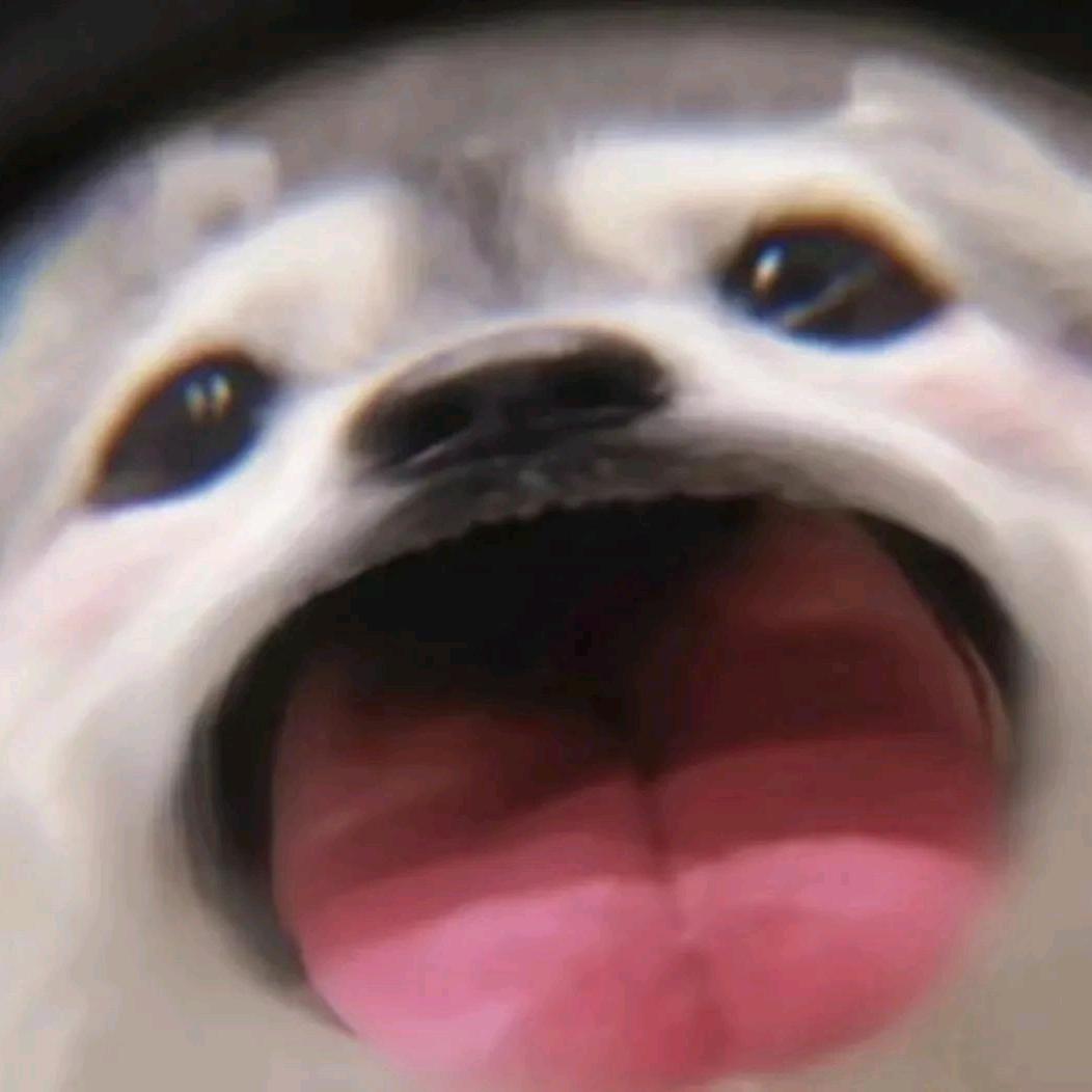 想你的一千零一夜