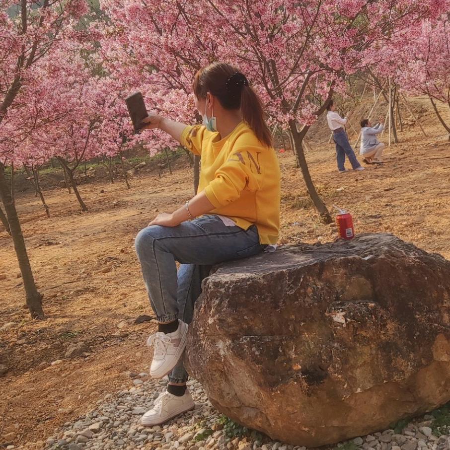 🌸💕凤舞九天💕🌺🌸