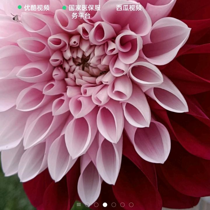 伤心