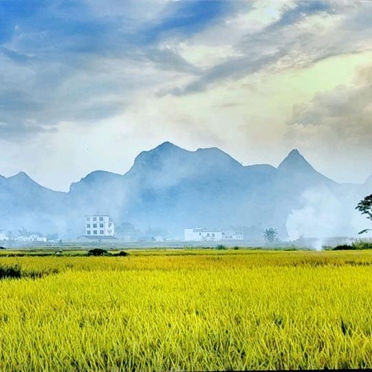 梧州曼玲粥店