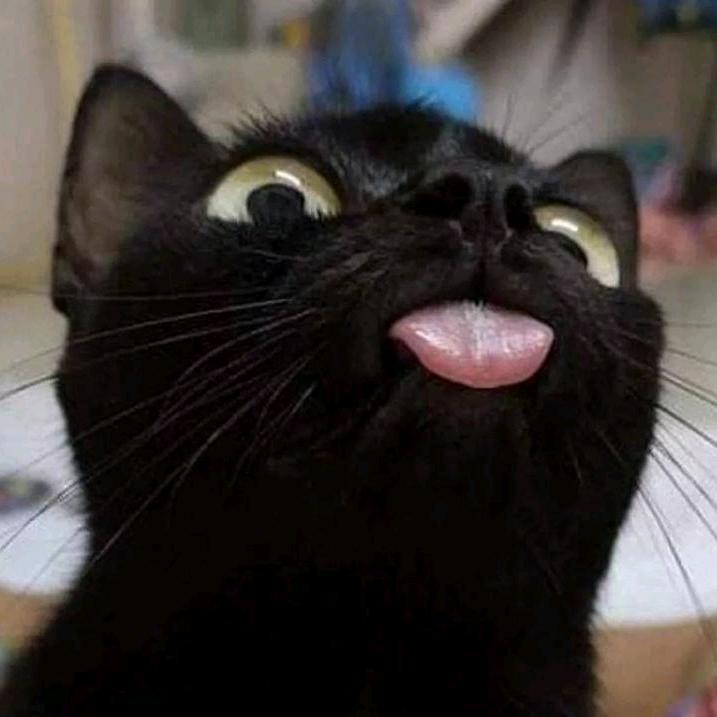 Mix