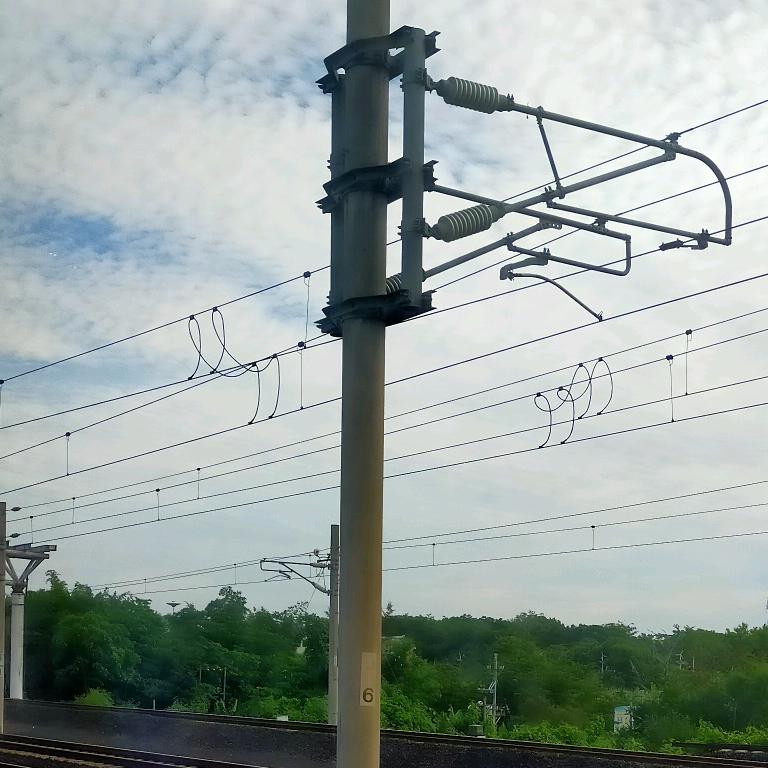 小尾巴( ｡• 👅 •｡｀)