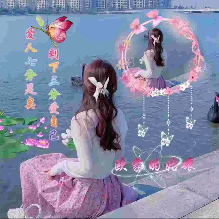 小海鸥
