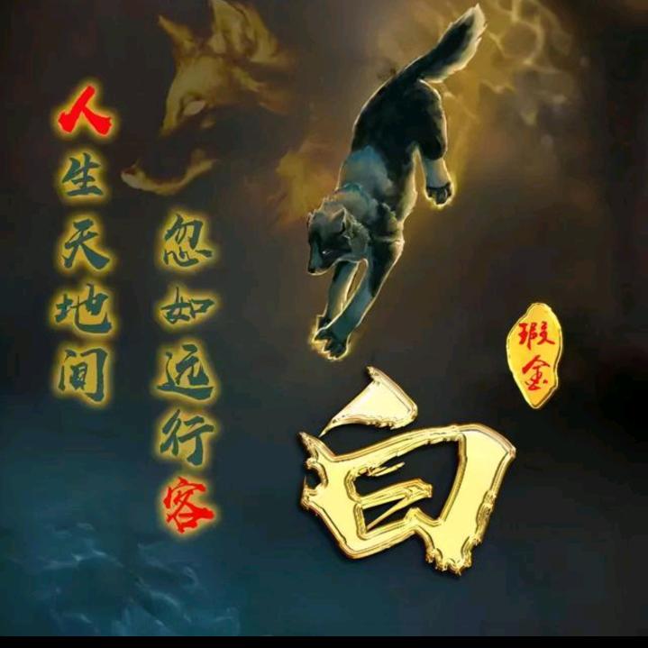 狼图腾5276