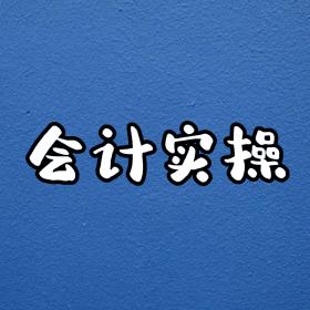 初柒会计实操