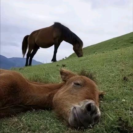 爱心