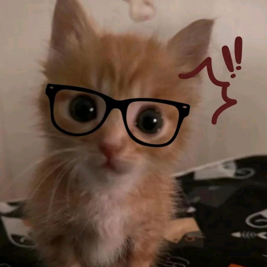 小飞渔