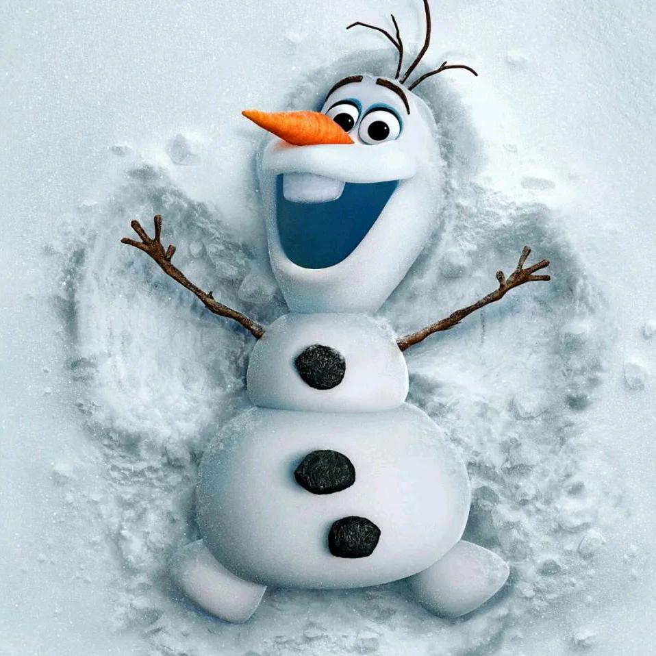 雪宝