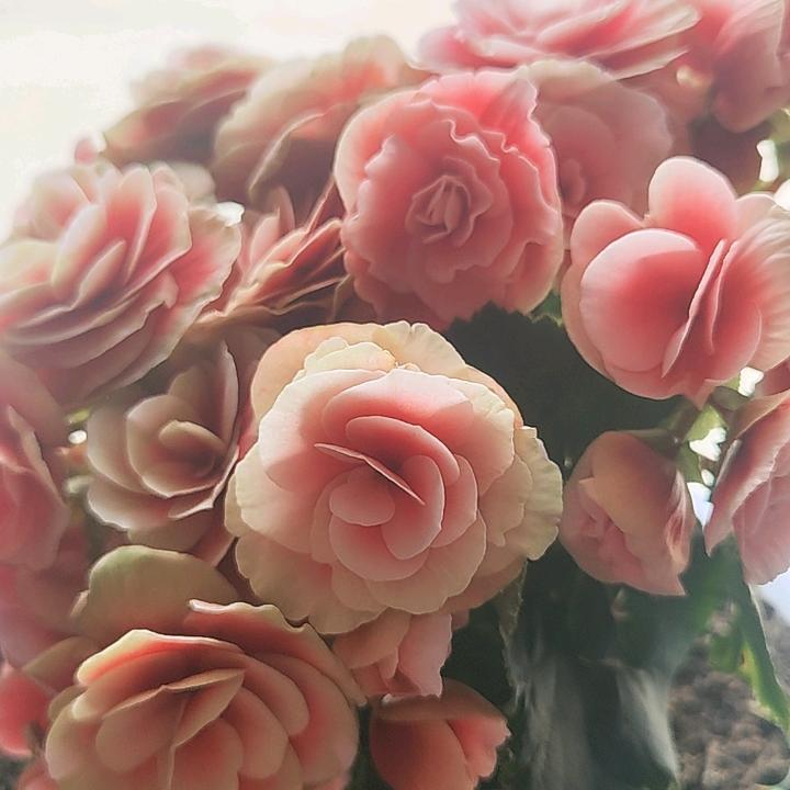 清晨的雨