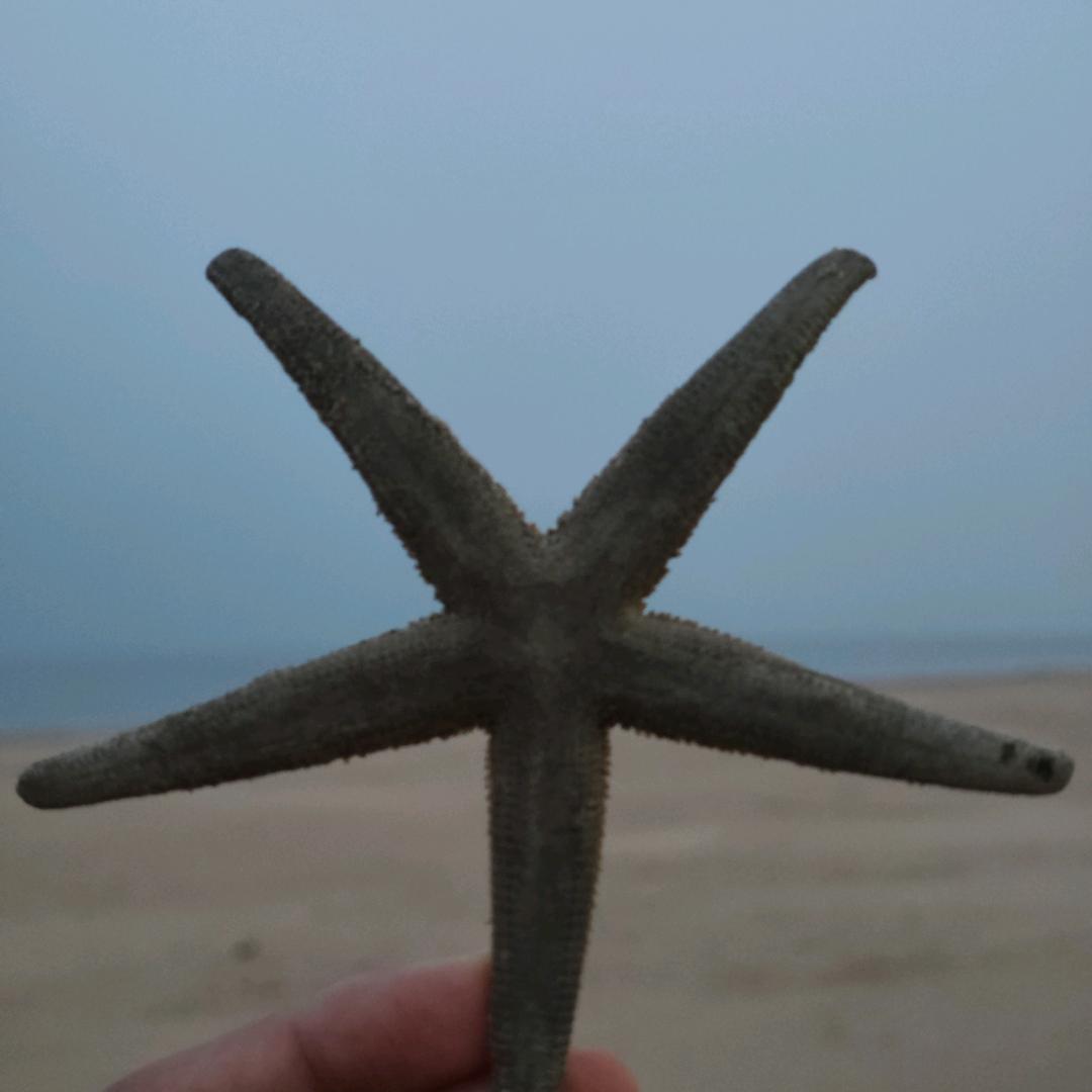 野钓不空军