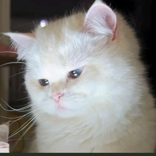 屎到临头想搅便