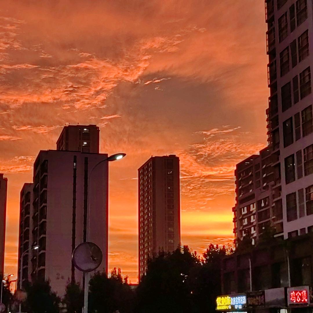 好莱客全案设计一杨东方