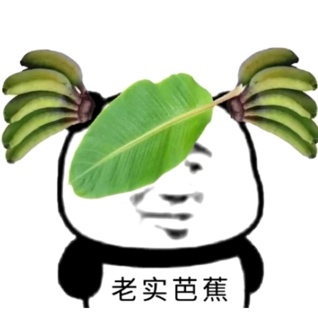 小鹌鹑.