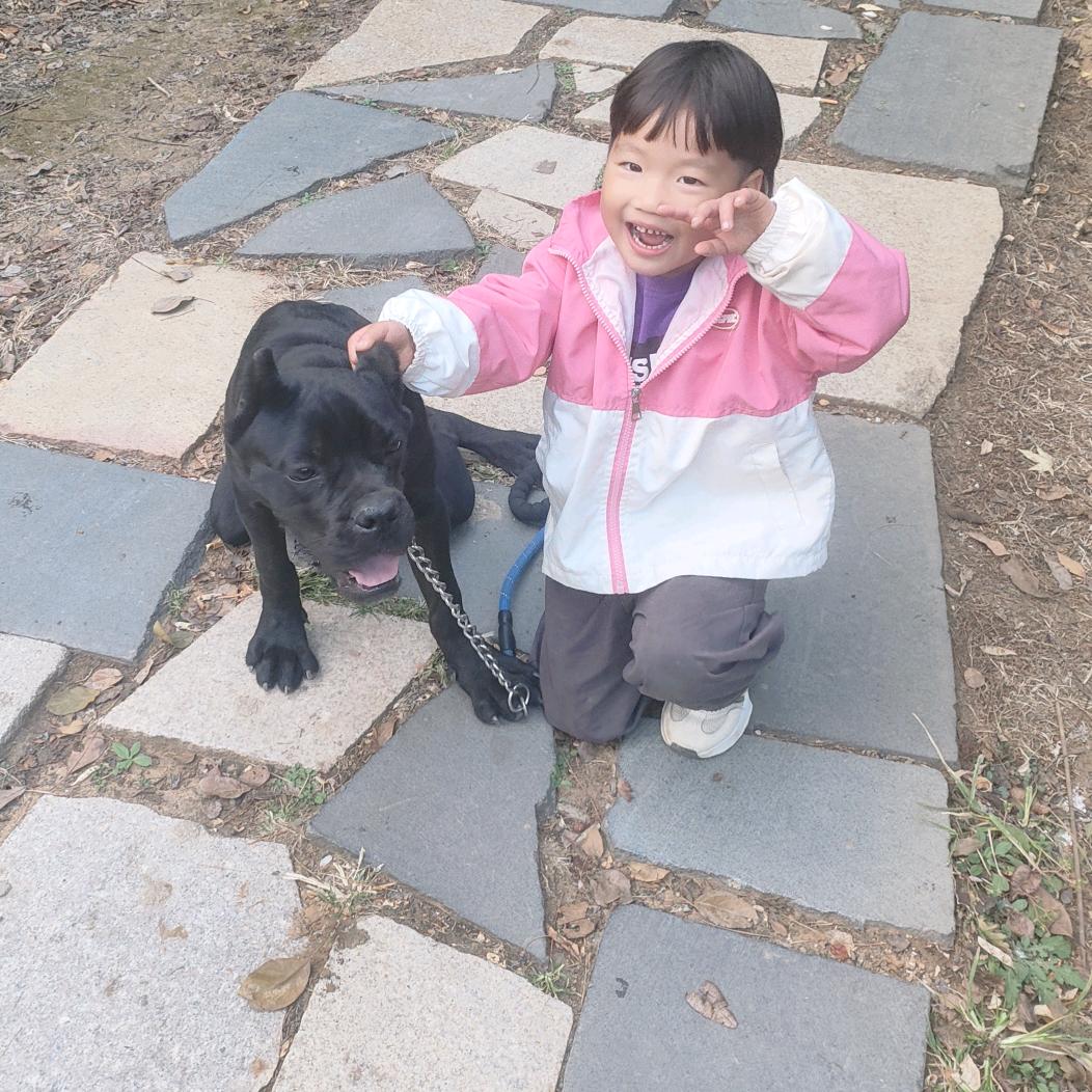 💕 ❧⁵²⁰郭王殿下🦋꧔ꦿ᭄💞