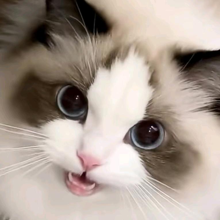 Der Weg ist das Ziel