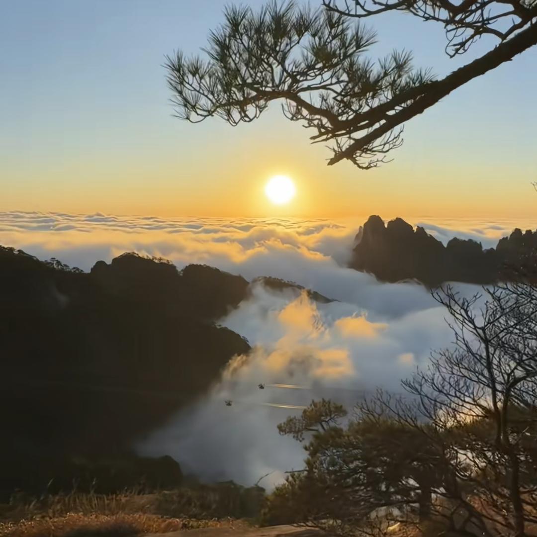 这欲望与绝望之争