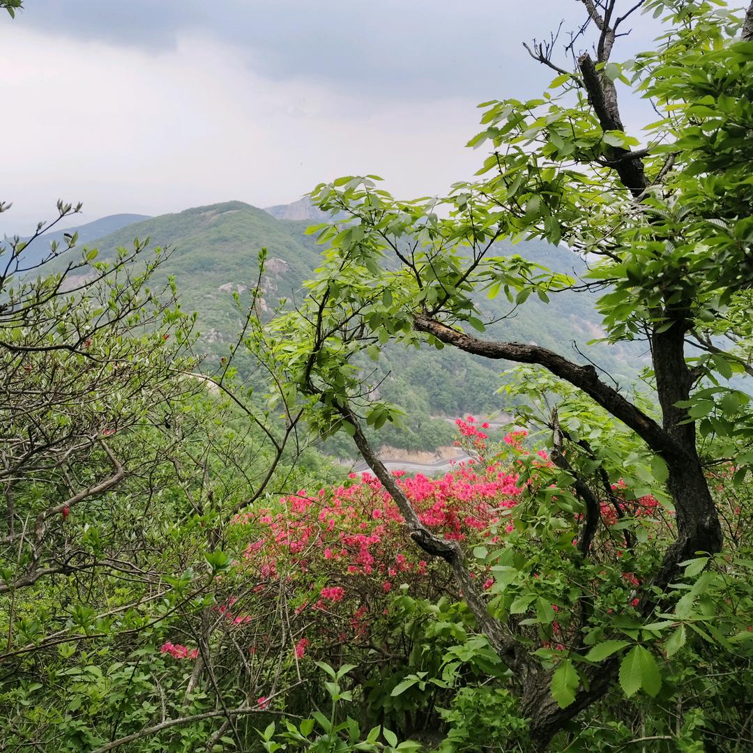 ꪶꪮꪤꫀ贾和᭄꧔ꦿ💗万事兴ꦿ