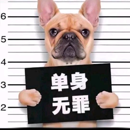 83年的单猪🐷