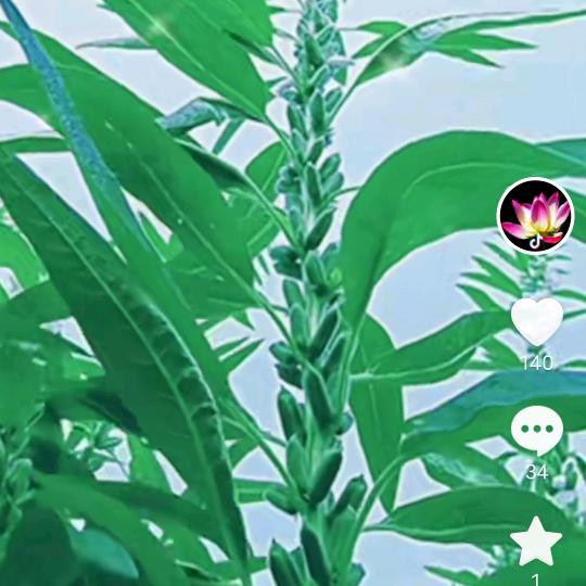 相逢就是缘分