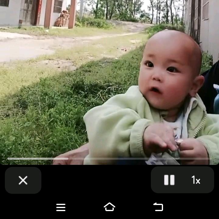 珍珍