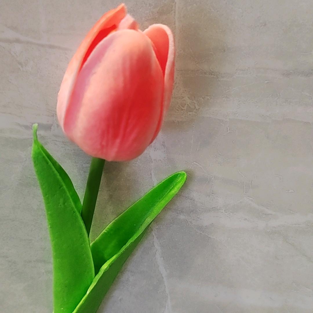 小辉辉…