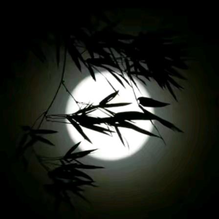 小🐯🐰厚朴✧⁸º²⁹🐰🐯