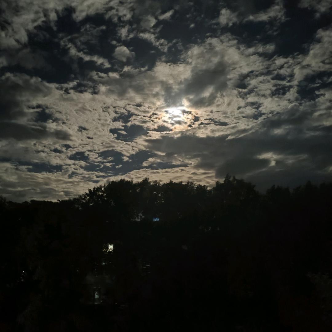 孤独求败✨