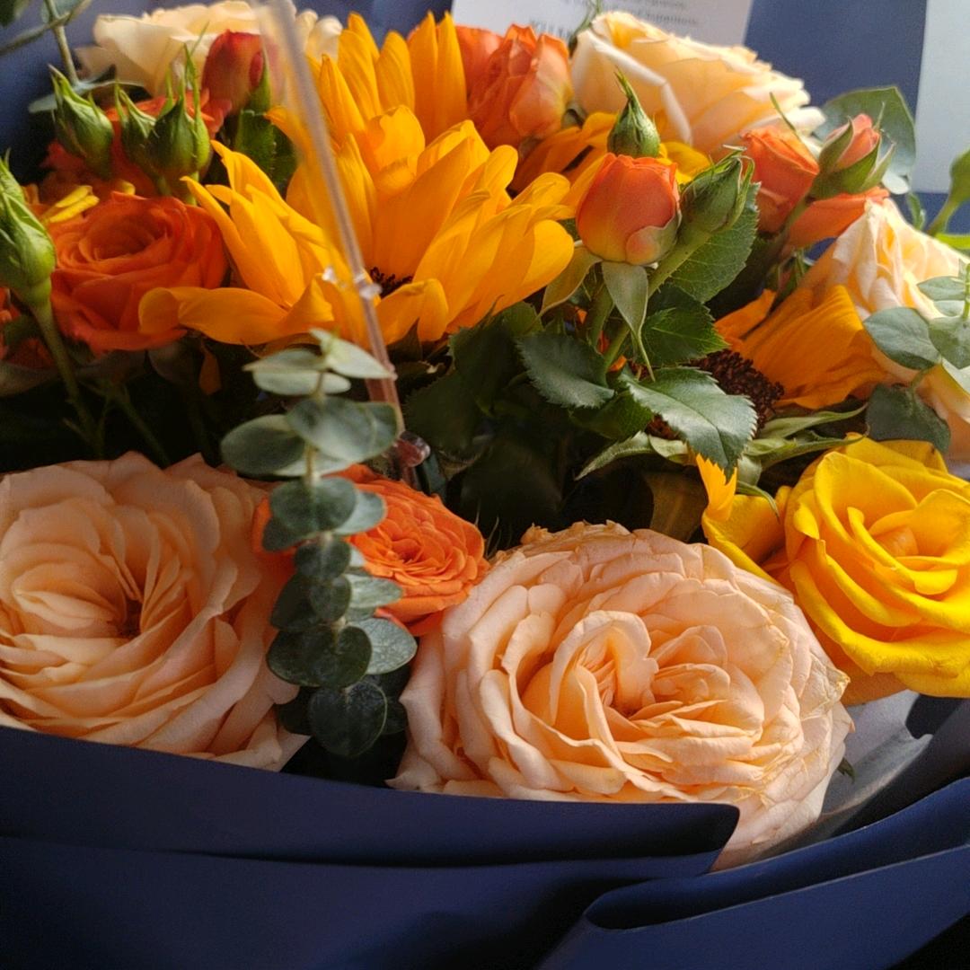 忘忧草！！！拒绝私聊！！！