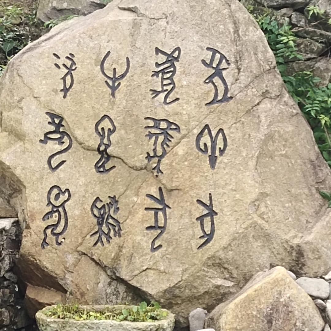 曌壅饕