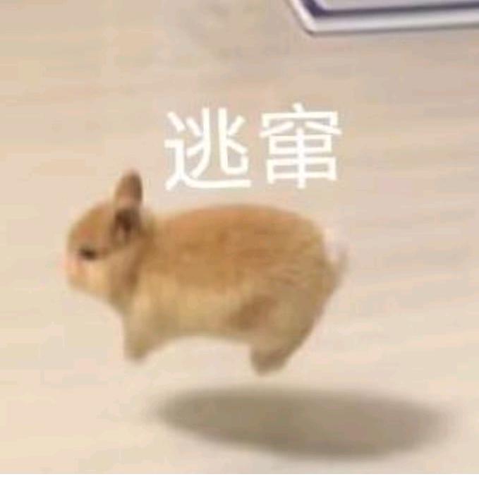 哈！
