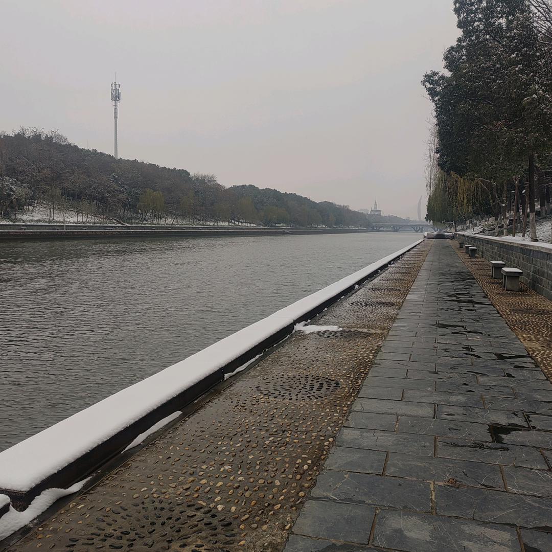 阳光下的梦回华年