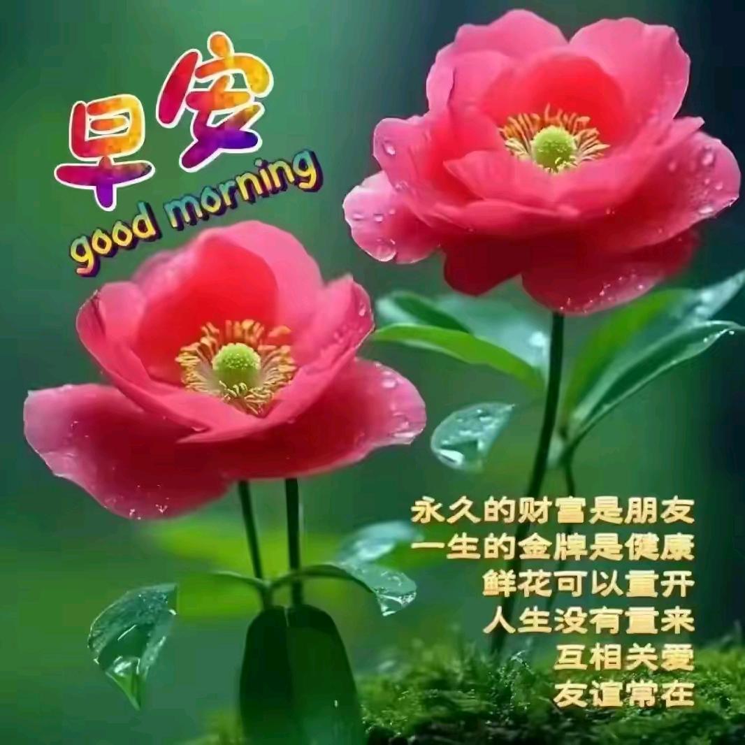 黄东