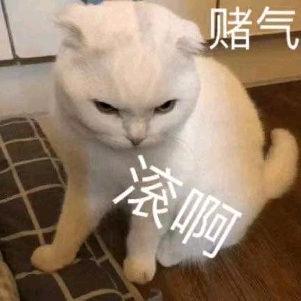 双木林头像