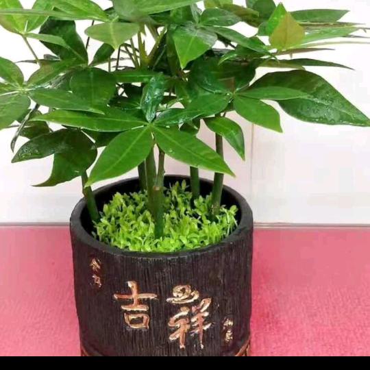 冬漫