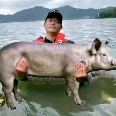 云里雾里😶‍🌫️