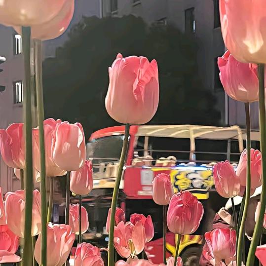 珺钰