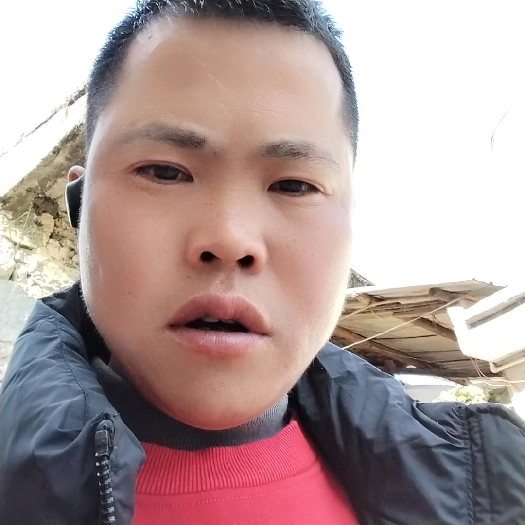 单身桥梁哥哥