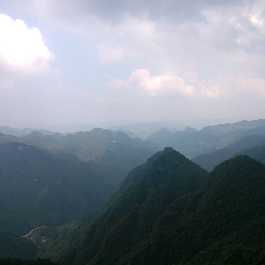 佛山刘哥