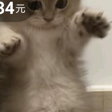 都好好的出结果