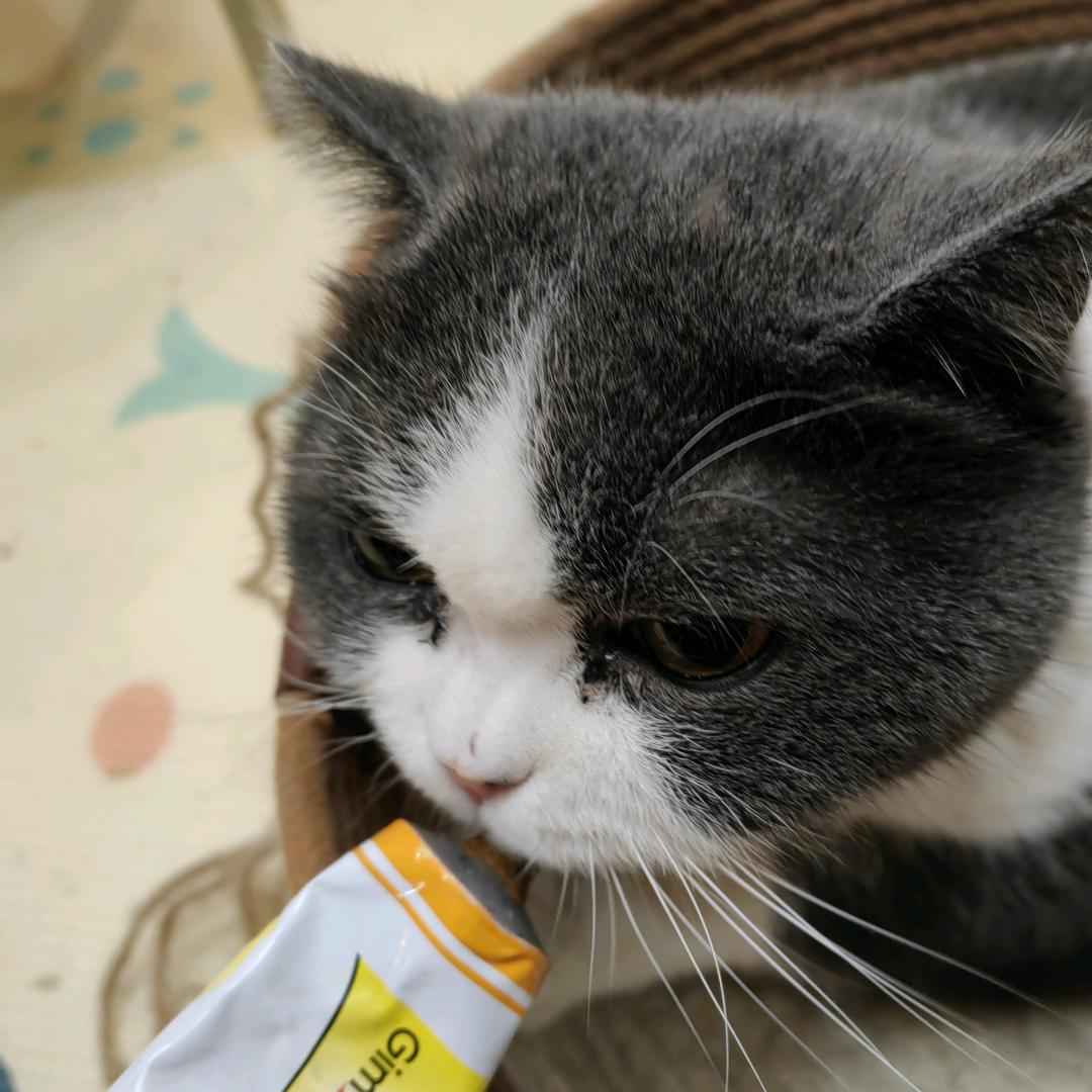 小真