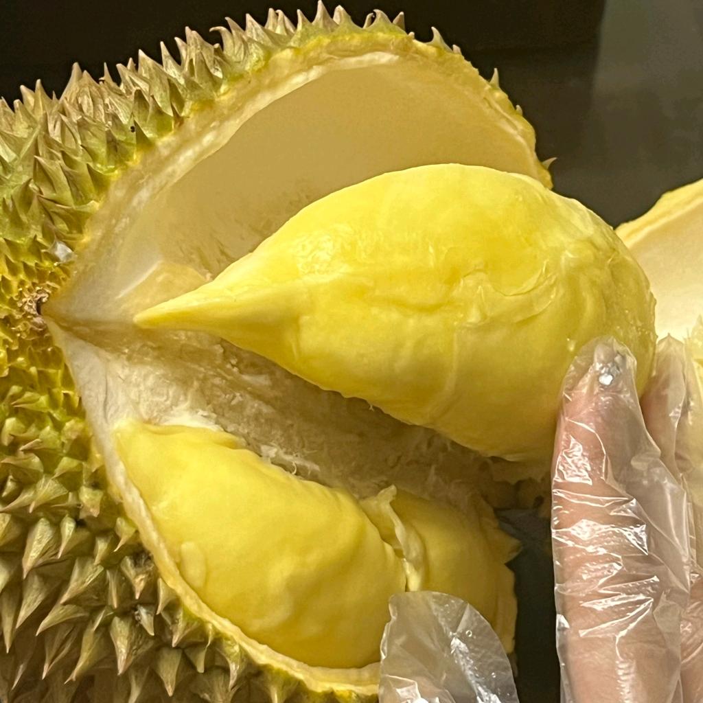 晓蕾