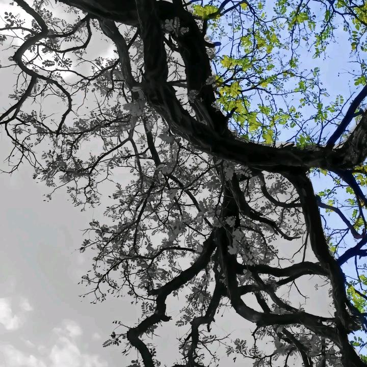 恩