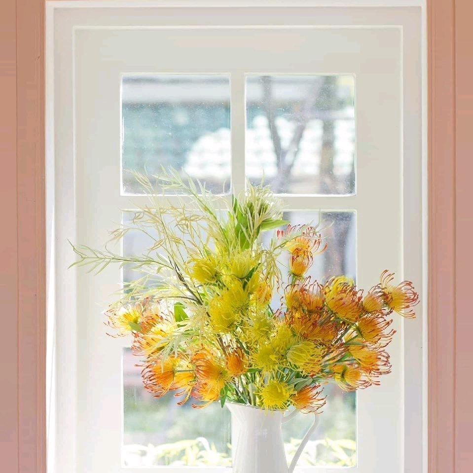 国花🌸